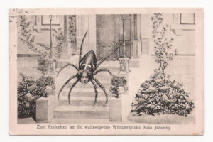 Zum Andenken an die wahrsagende Wunderspinne Johanny