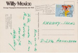 Alternative view of Willy Mexico