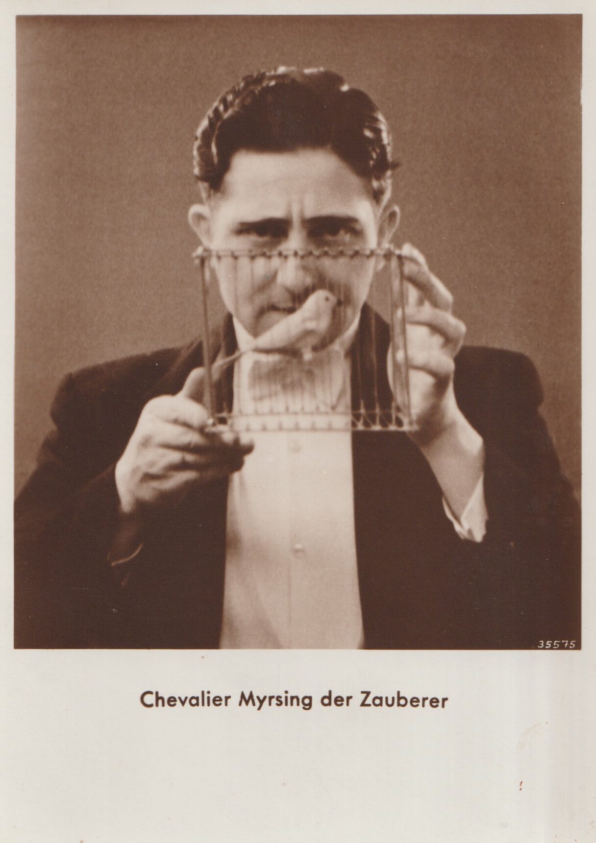 Chevalier Myrsing der Zauberer