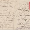 La Bellini – Bild 2