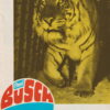 Paul Busch